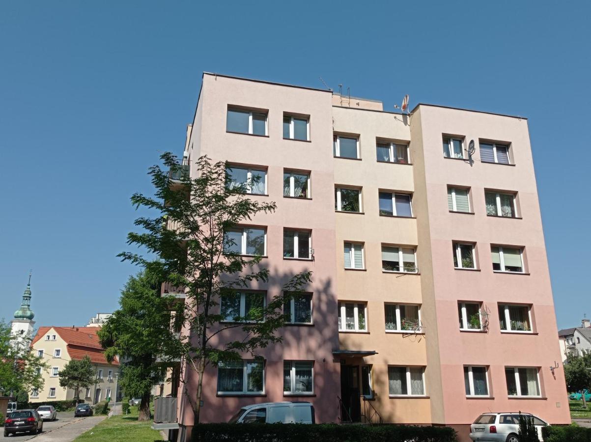 Apartamento Babcares Apa Góry Izerskie Mirsk Exterior foto